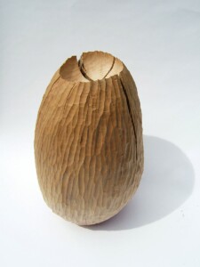 Beech Pod