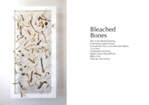 Volcano Exhibition Exploring Place - Bleached Bones